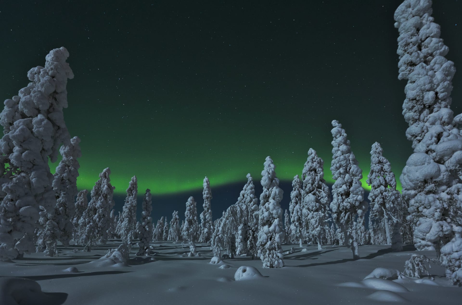 Northern Lights